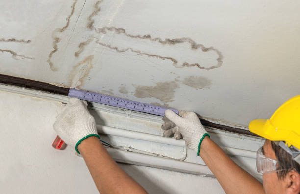 Reliable Structural Drying contractor in Marysville, MI by Water Damage Irwin